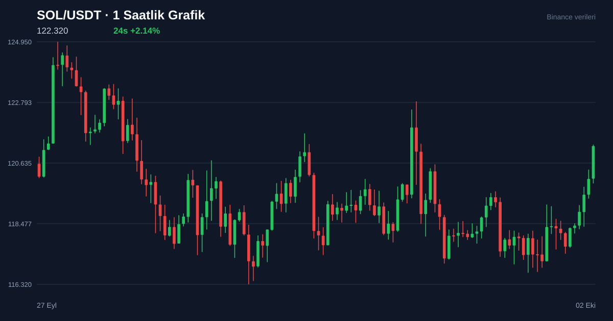 SOL/USDT 1 saatlik statik fiyat grafiği