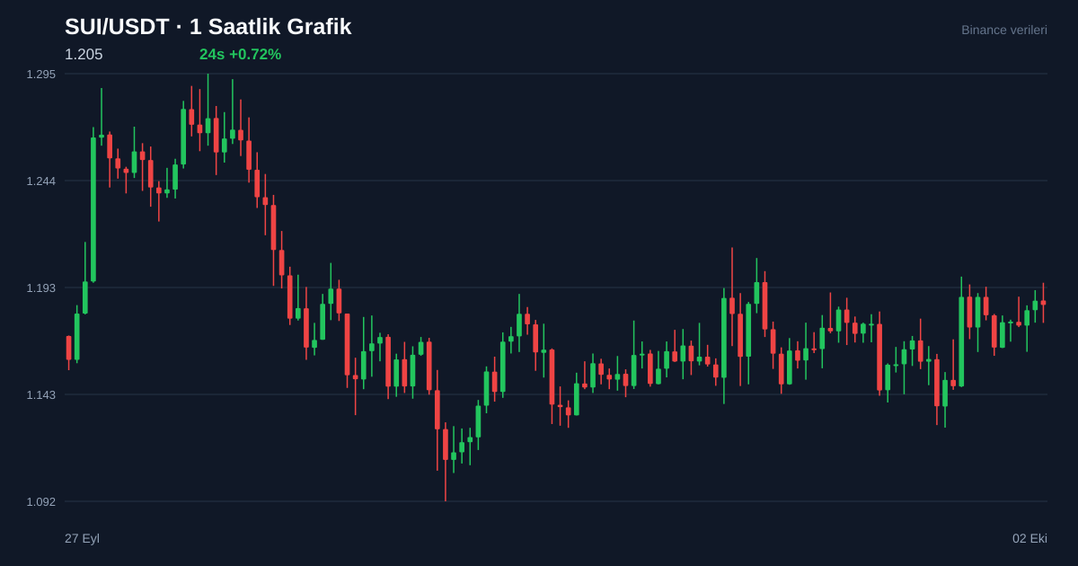SUI/USDT 1 saatlik statik fiyat grafiği