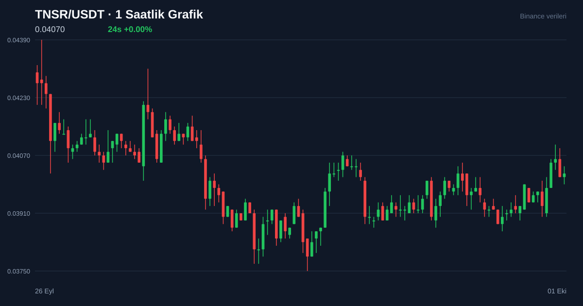 TNSR/USDT 1 saatlik statik fiyat grafiği