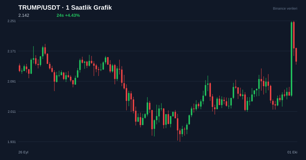 TRUMP/USDT 1 saatlik statik fiyat grafiği