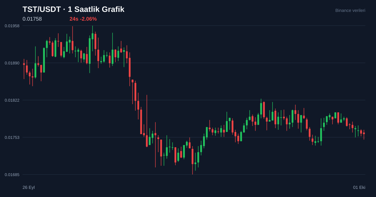 TST/USDT 1 saatlik statik fiyat grafiği