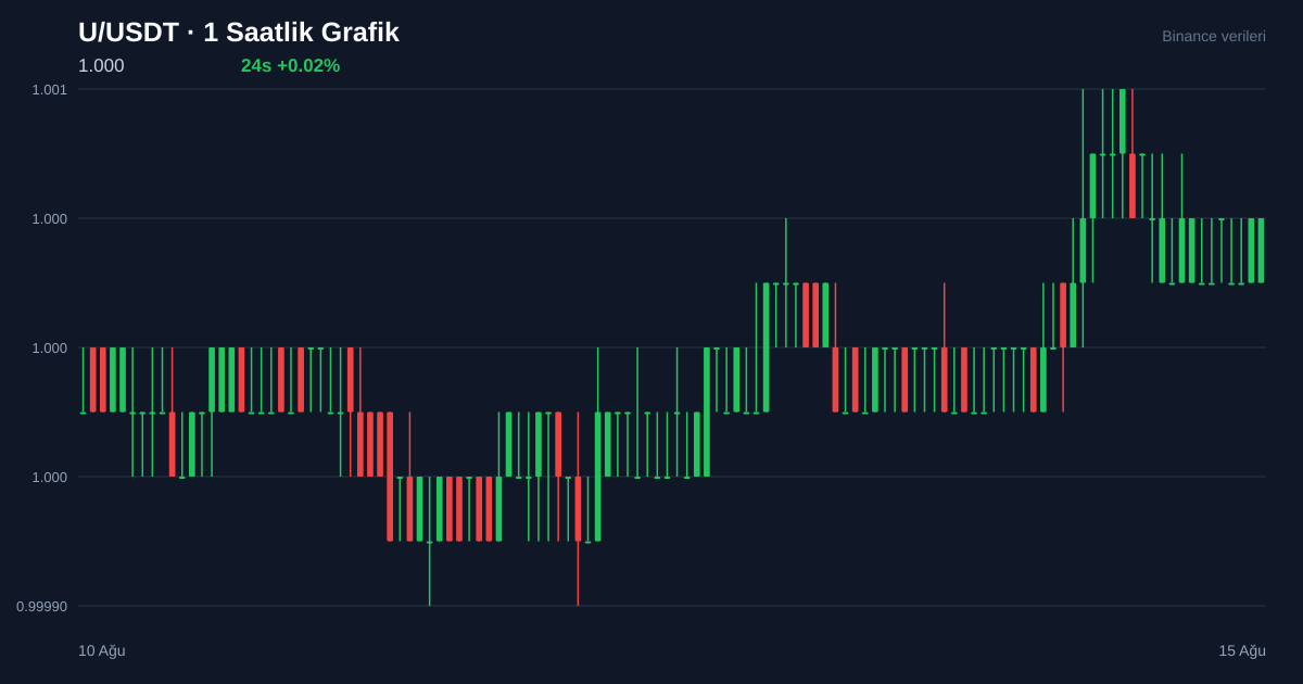 U/USDT 1 saatlik statik fiyat grafiği