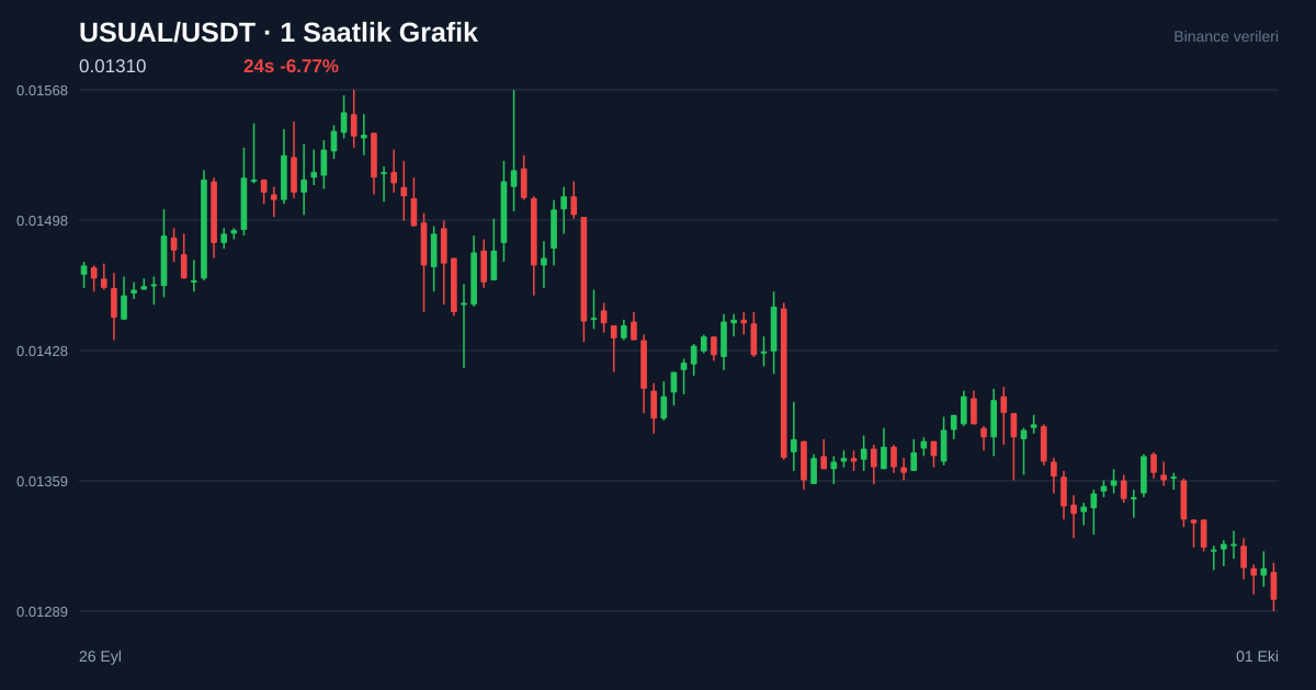 USUAL/USDT 1 saatlik statik fiyat grafiği
