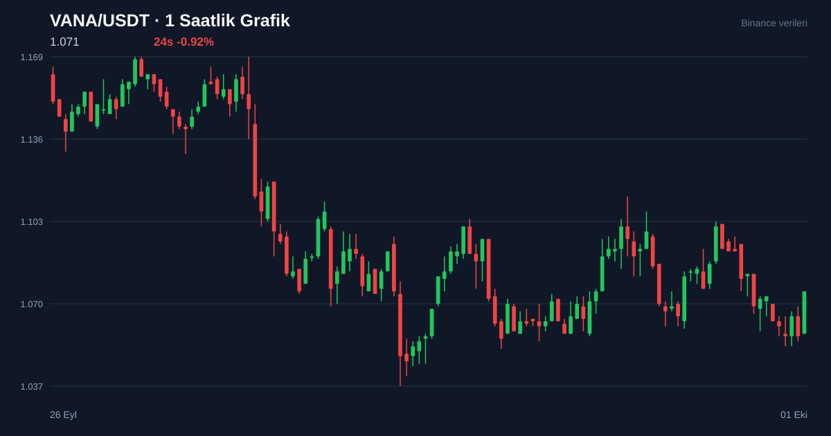 VANA/USDT 1 saatlik statik fiyat grafiği