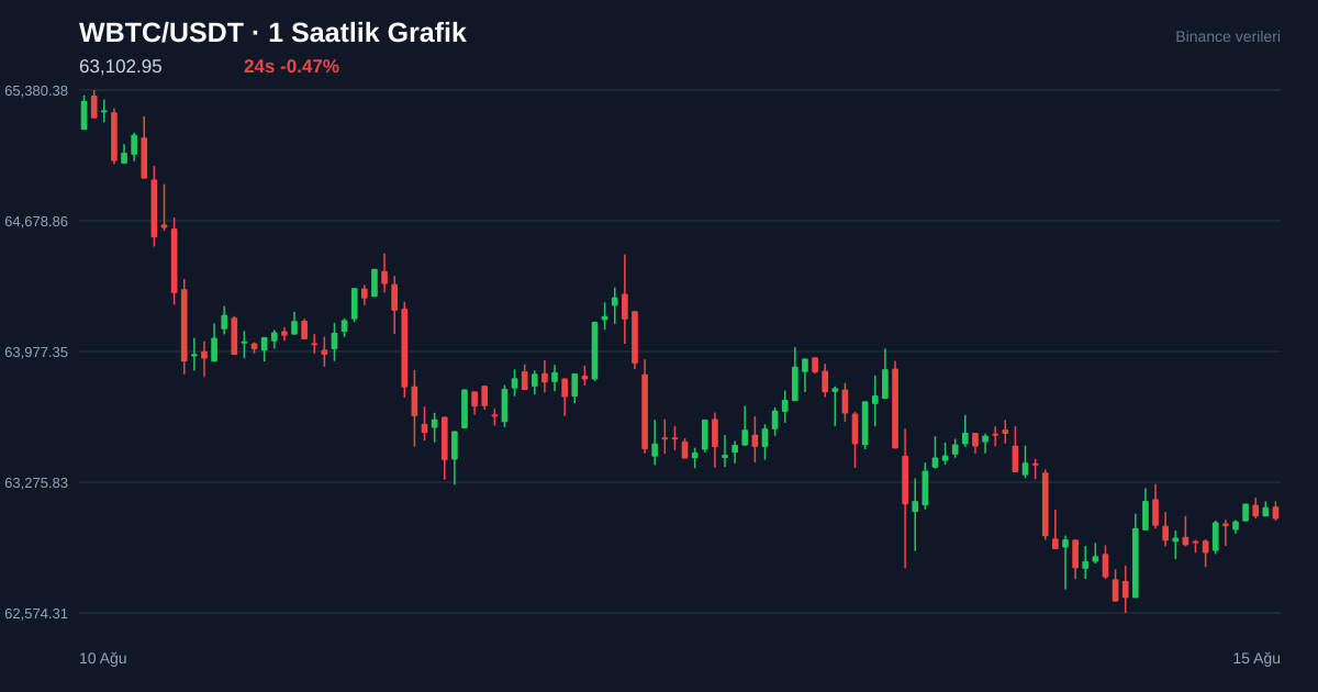 WBTC/USDT 1 saatlik statik fiyat grafiği