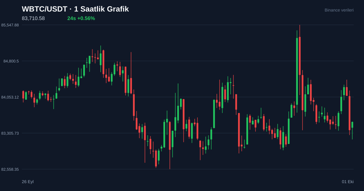 WBTC/USDT 1 saatlik statik fiyat grafiği