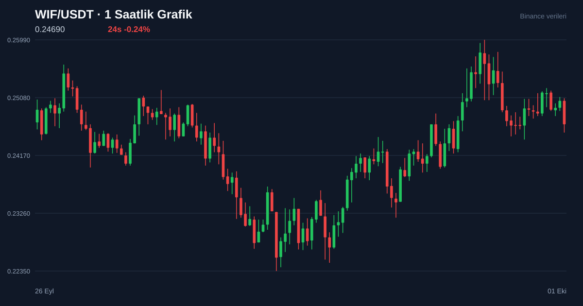 WIF/USDT 1 saatlik statik fiyat grafiği