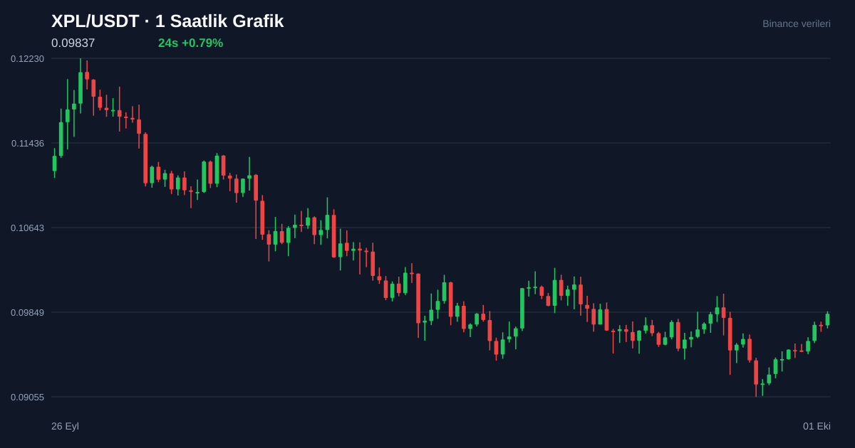XPL/USDT 1 saatlik statik fiyat grafiği