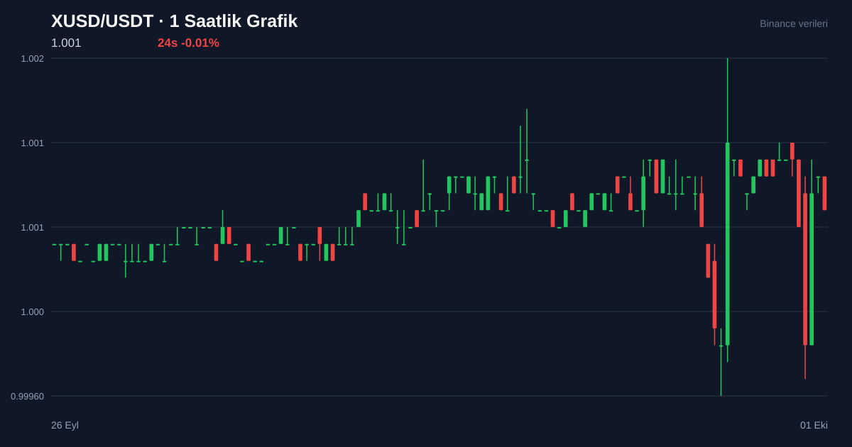 XUSD/USDT 1 saatlik statik fiyat grafiği